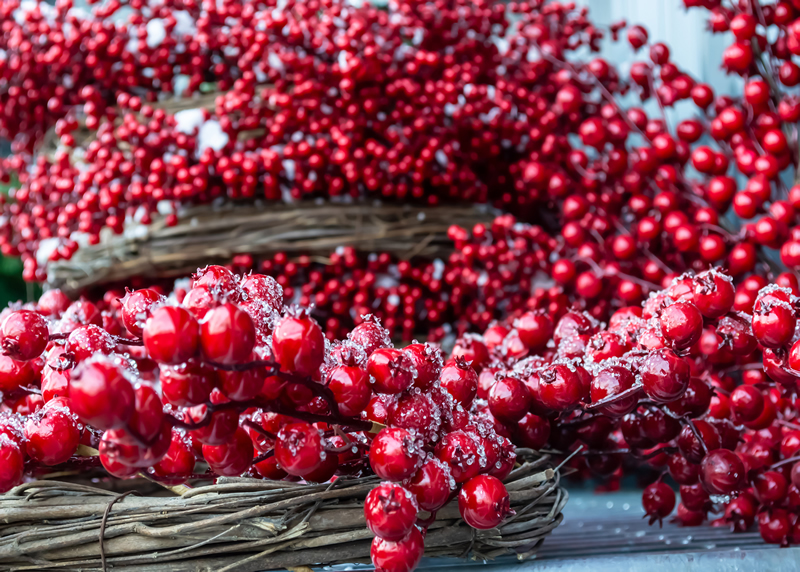 Deep Red by Alleesha McDonald